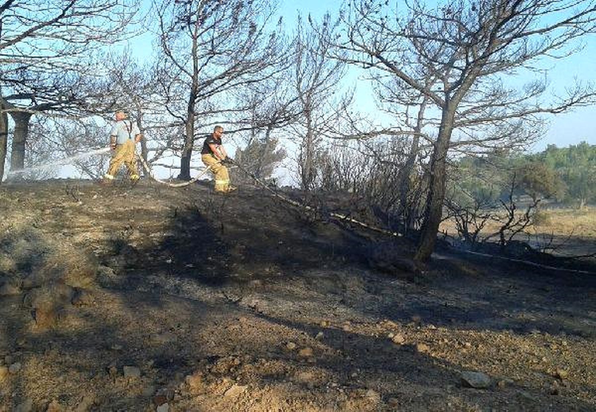 Ayvalık\'taki Yangında 5 Hektar Çam ve Zeytinlik Zarar Gördü