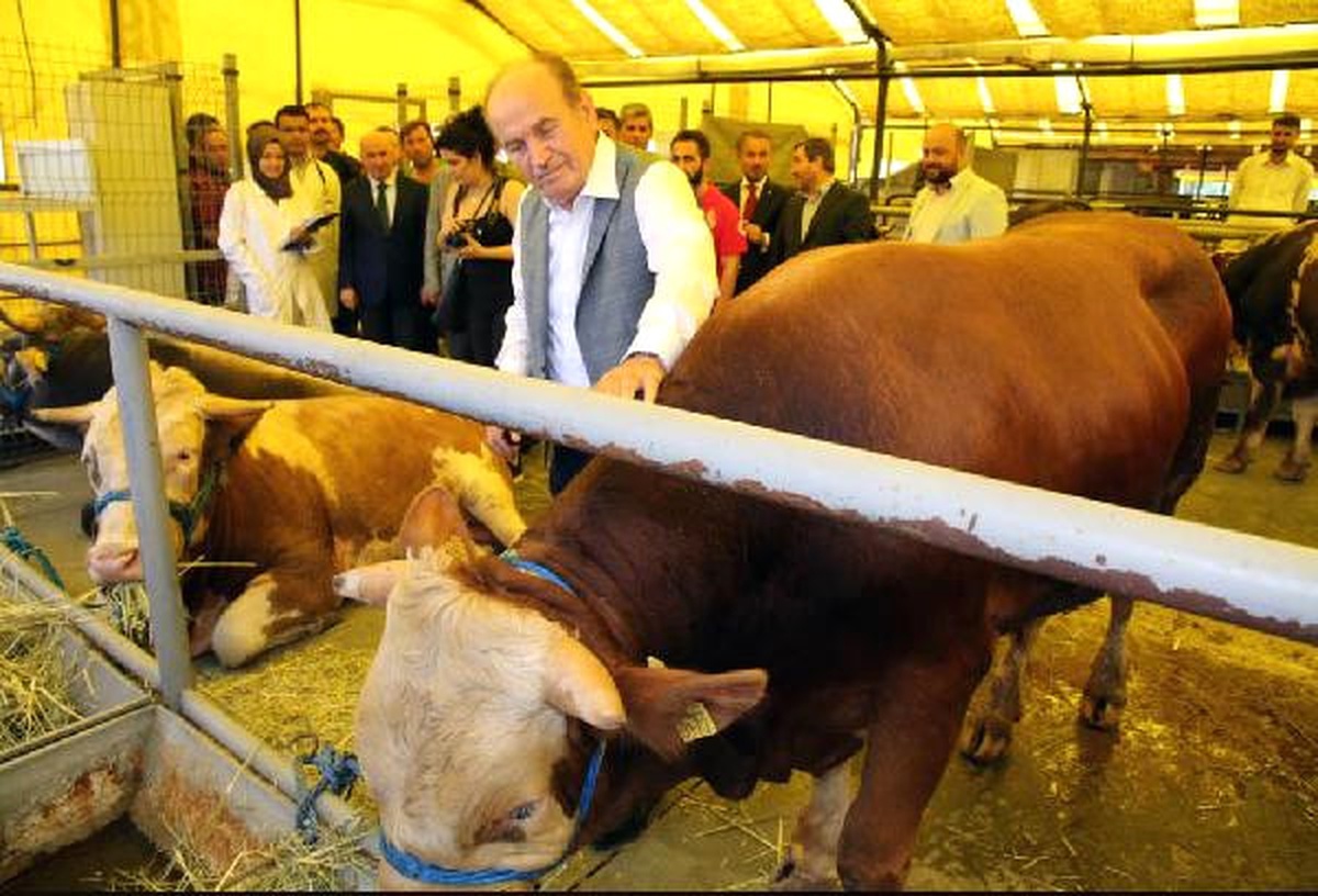 Başkan Topbaş Kurban Kesim Yerlerini Gezdi