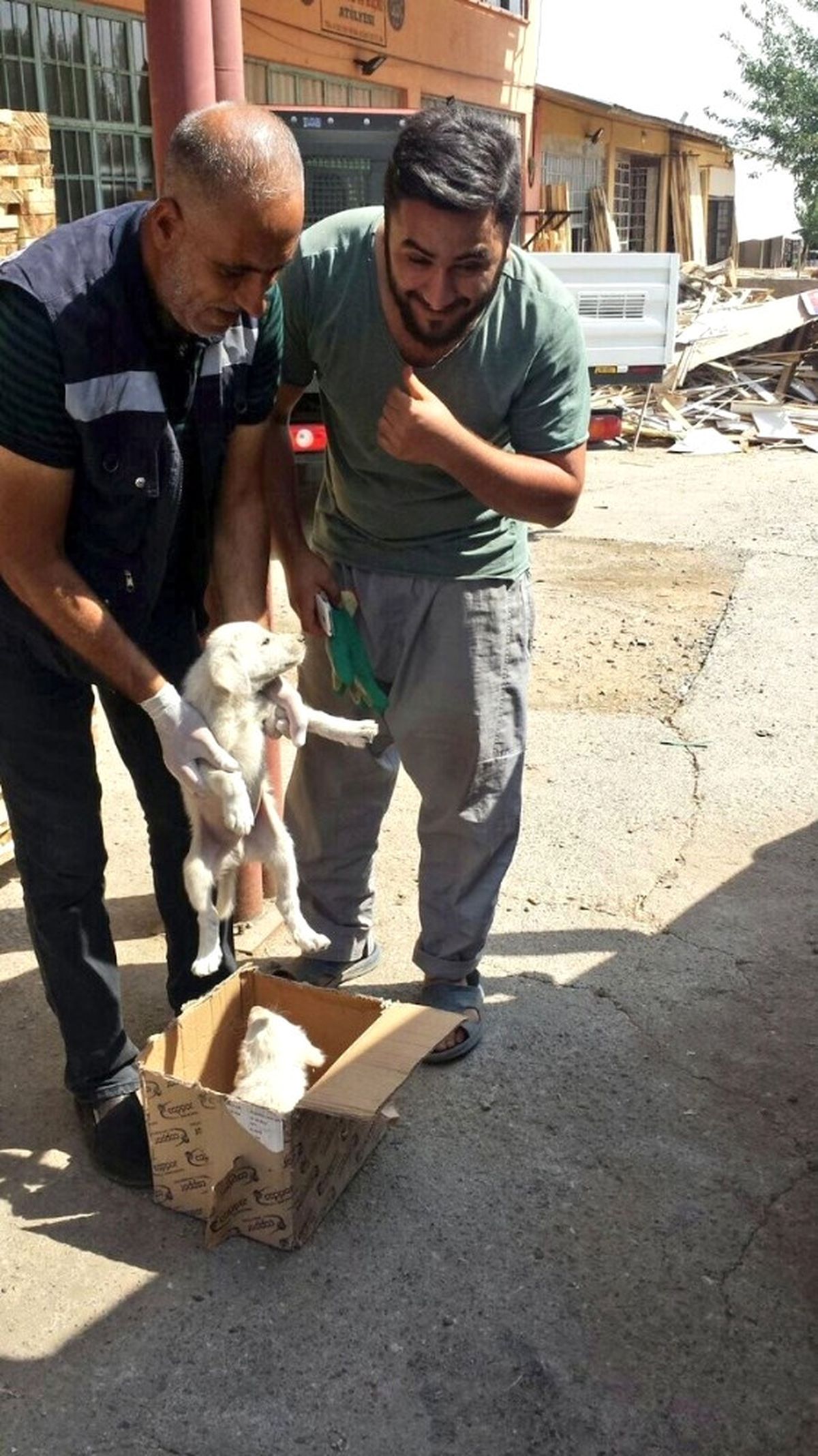 Bingöl\'de Bitkin Bulunan 2 Yavru Köpek Koruma Altına Alındı