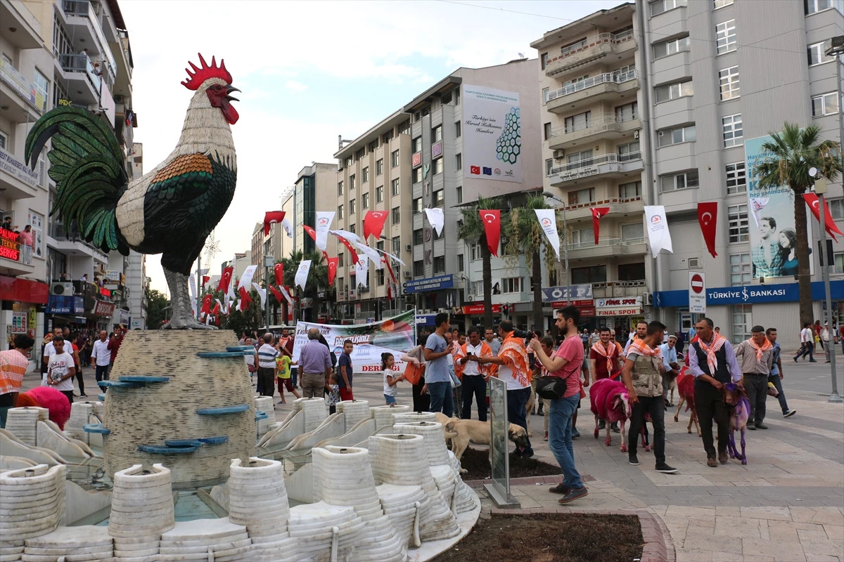 Denizli\'de Mor Koyunlarla Kortej Yürüyüşü