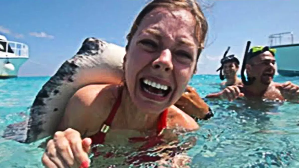 Okyanuslarda Yaşayan Tehlikeli Canlılar