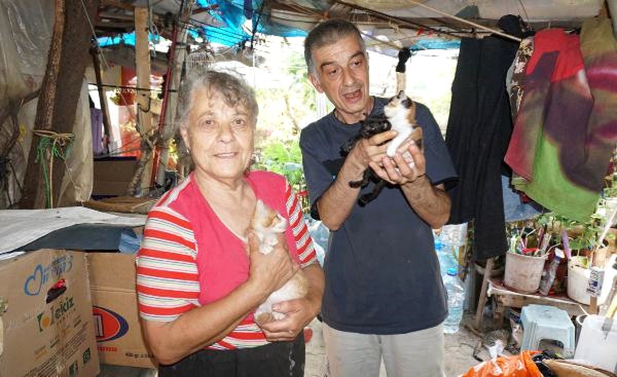 Emekli Maaşıyla Hasta Oğlu ve 100 Kediye Bakıyor
