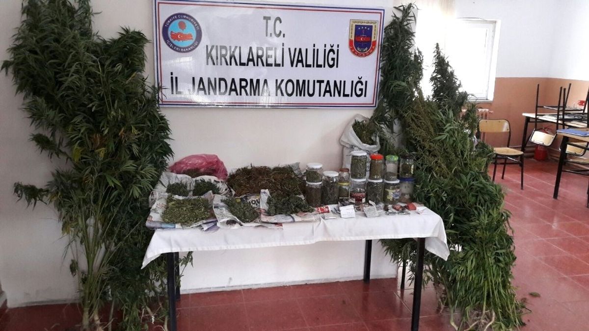 Evinde Esrar ve Hint Keneviri Ele Geçirilen Şahıs Tutuklandı