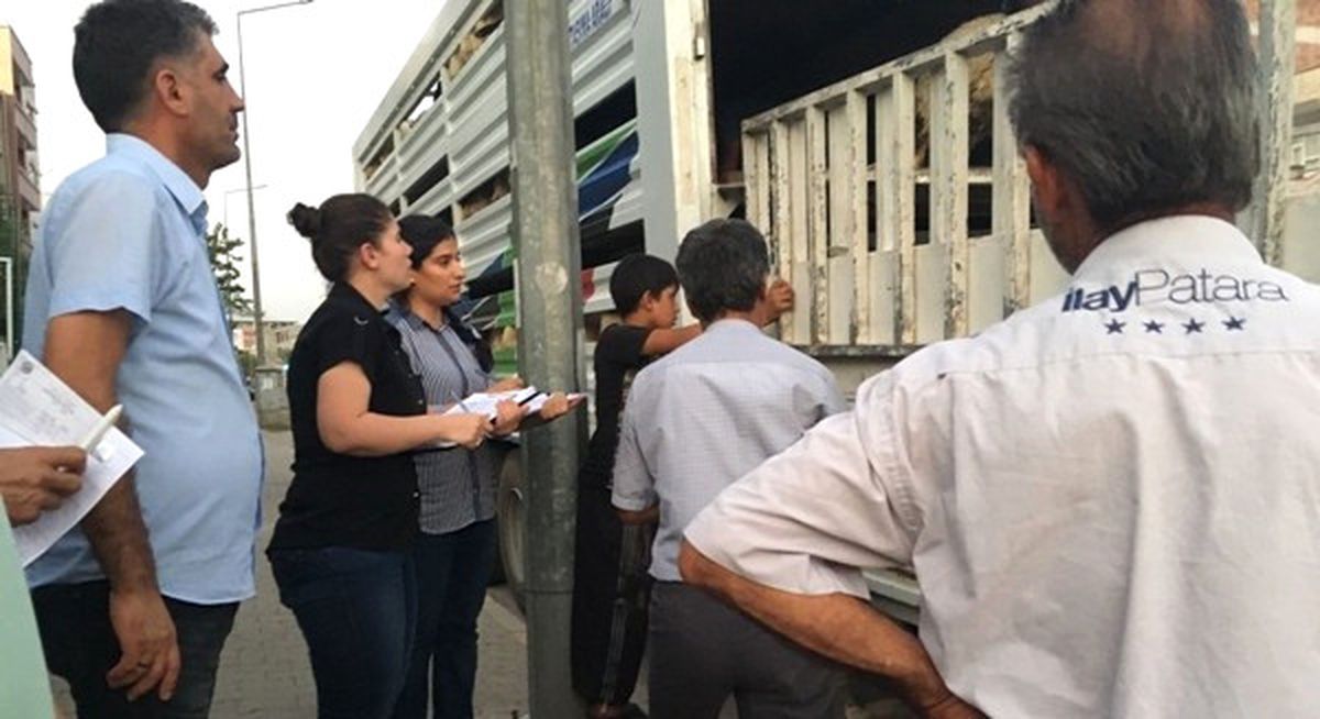 Genç Çiftçiler Hayvanlarına Kavuştu