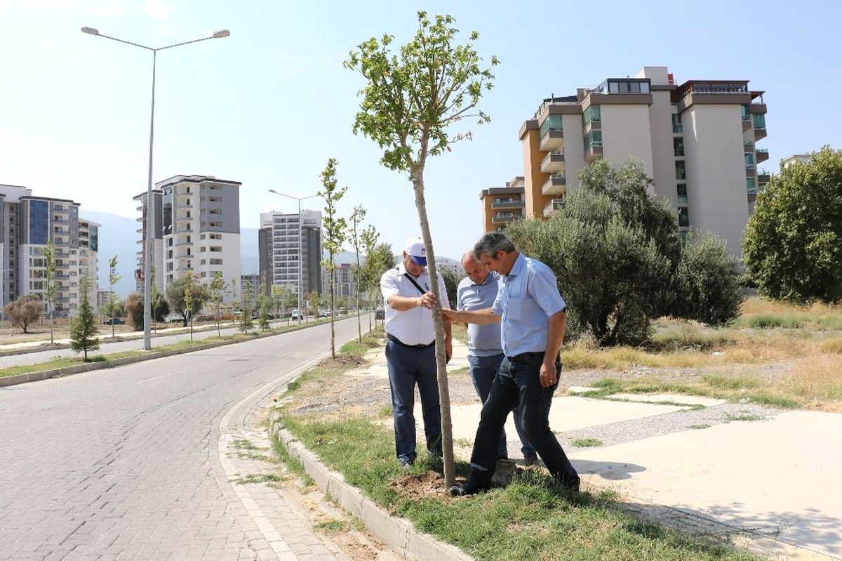 Güzelyurt\'un Çehresi Değişiyor