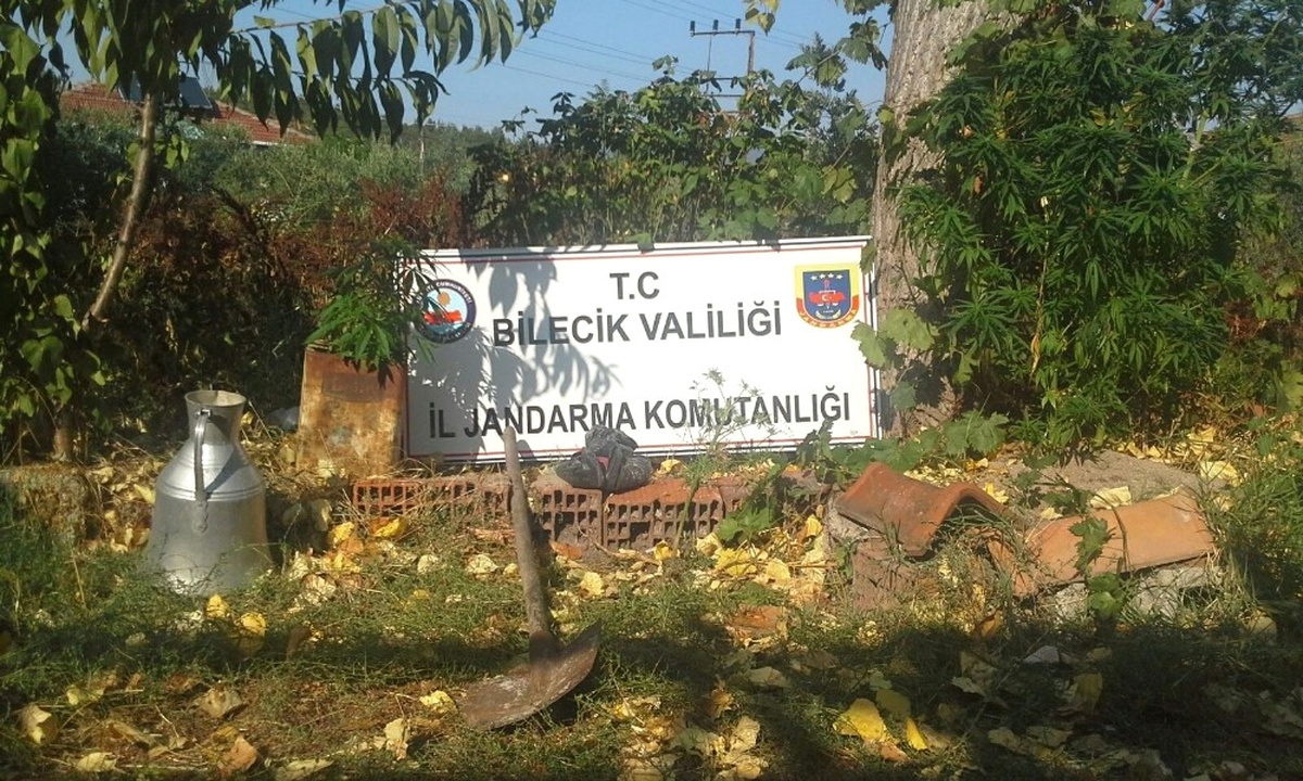 Jandarmadan 2 Farklı Yere Kenevir Operasyonu