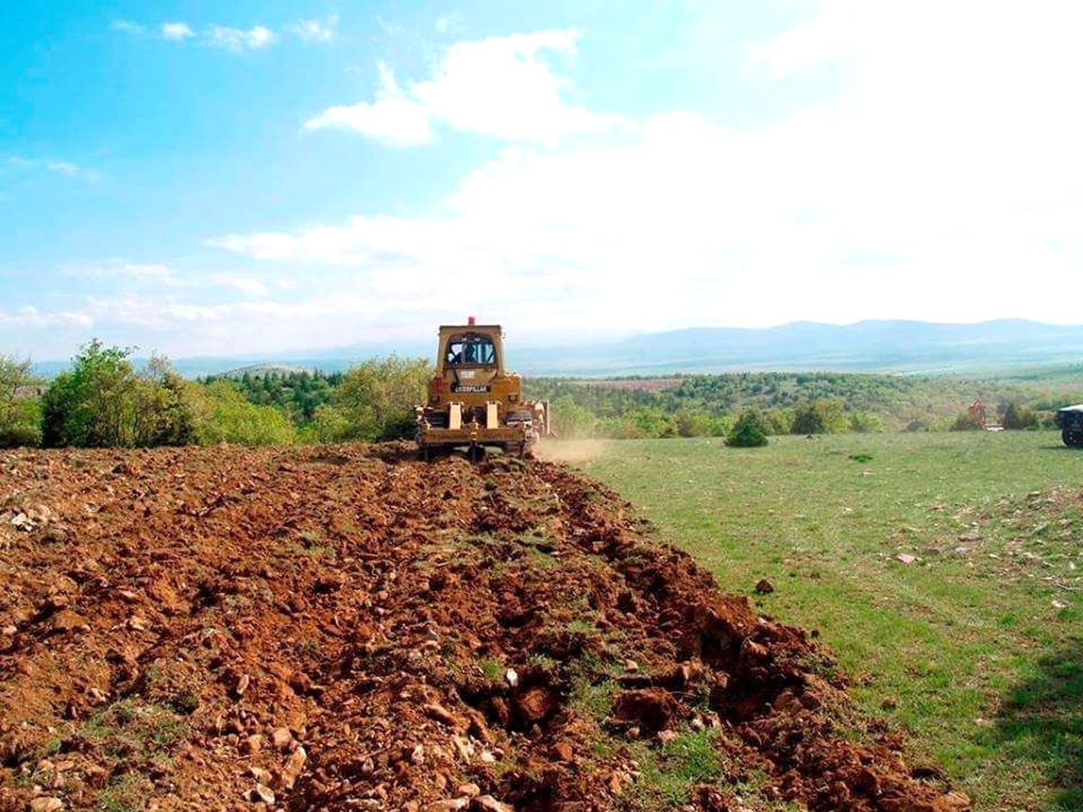 Yeşil Bir Aslanapa İçin 499 Bin Fidan