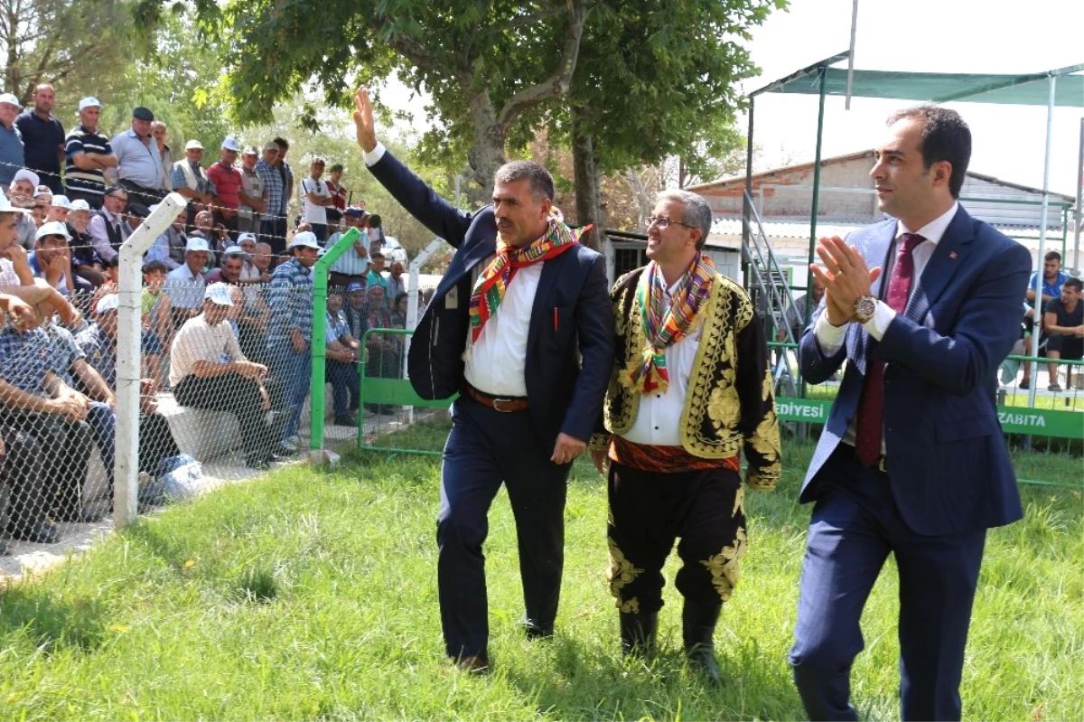 8. Geleneksel Kepsut Yağlı Güreşleri Başladı