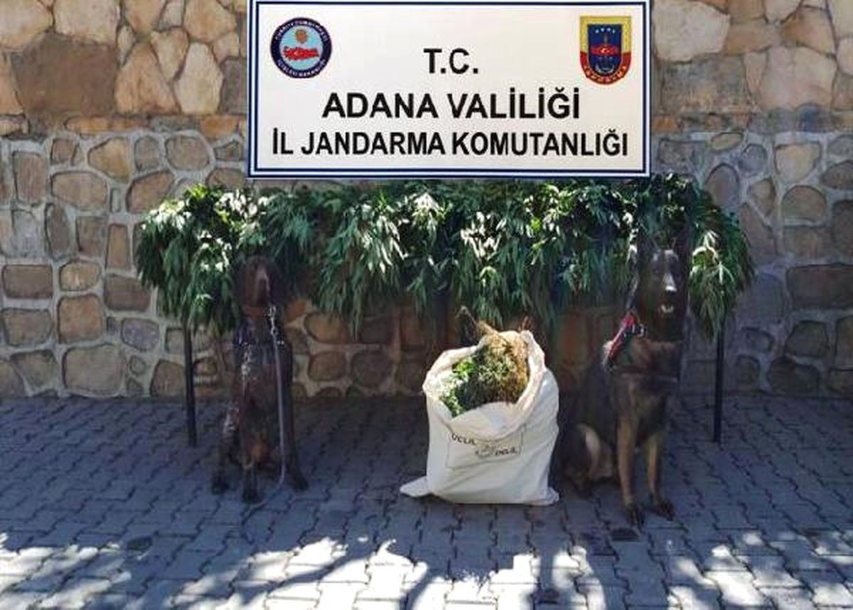 Adana\'da \'Drone\'lu Uyuşturucu Operasyonu