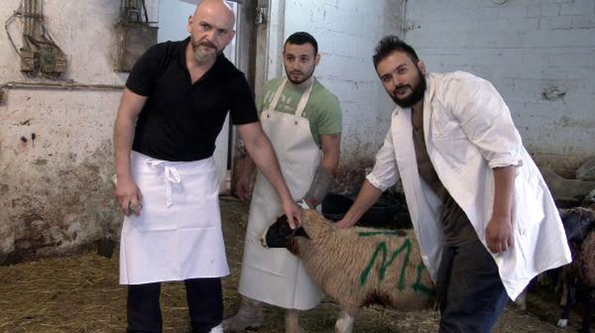 Almanya\'da Kurbanlıklar Satışa Hazır