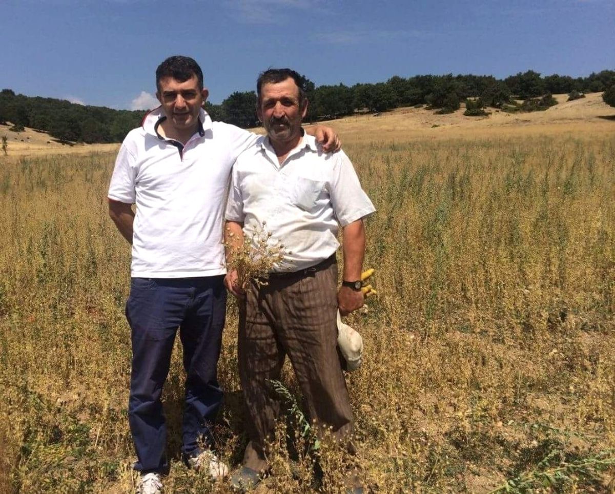 Aslanapa\'da Kekik ve Çörek Otu Üretimi Yaygınlaşıyor