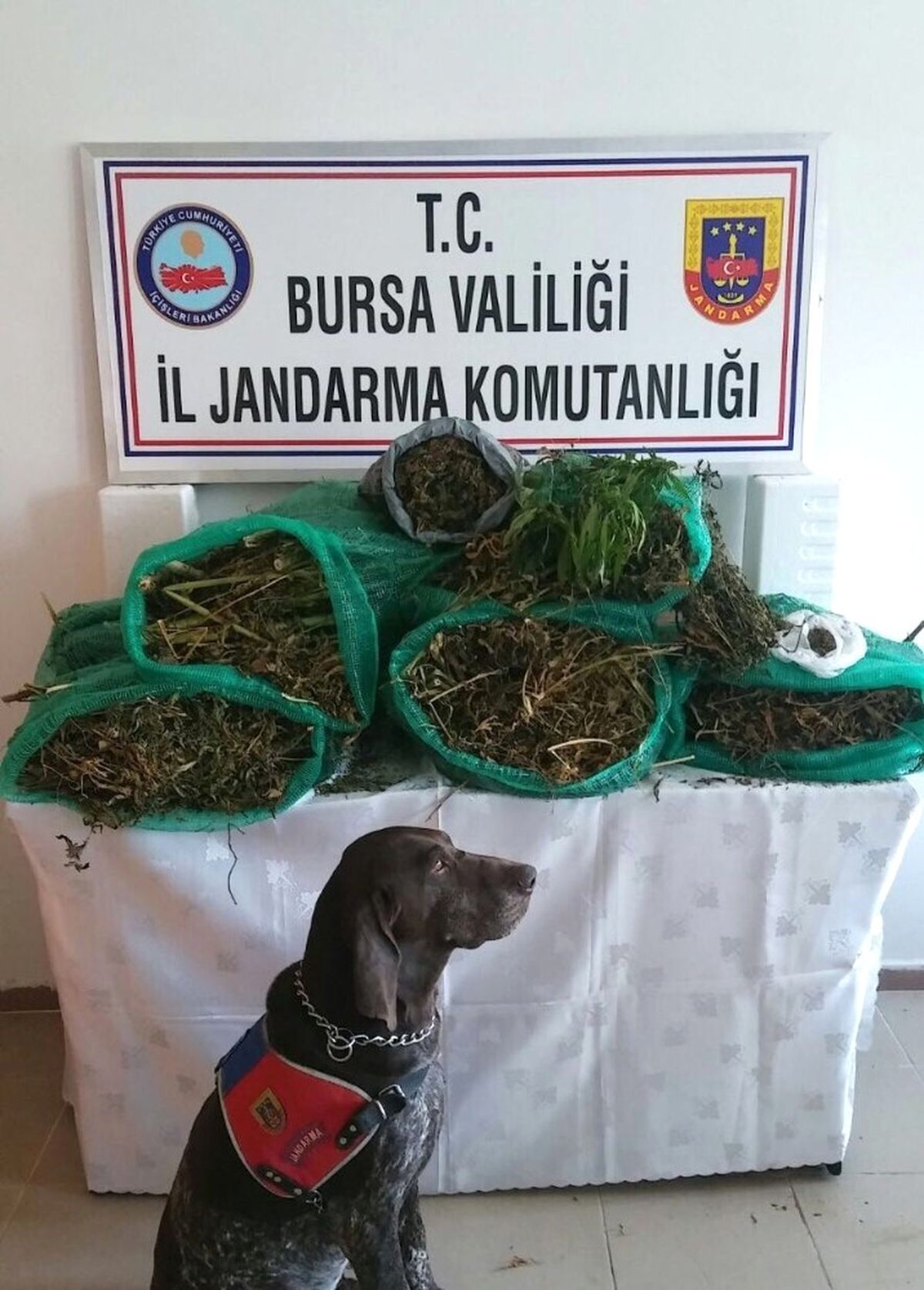 Jandarma ve Polis Ekiplerinden Şok Baskın