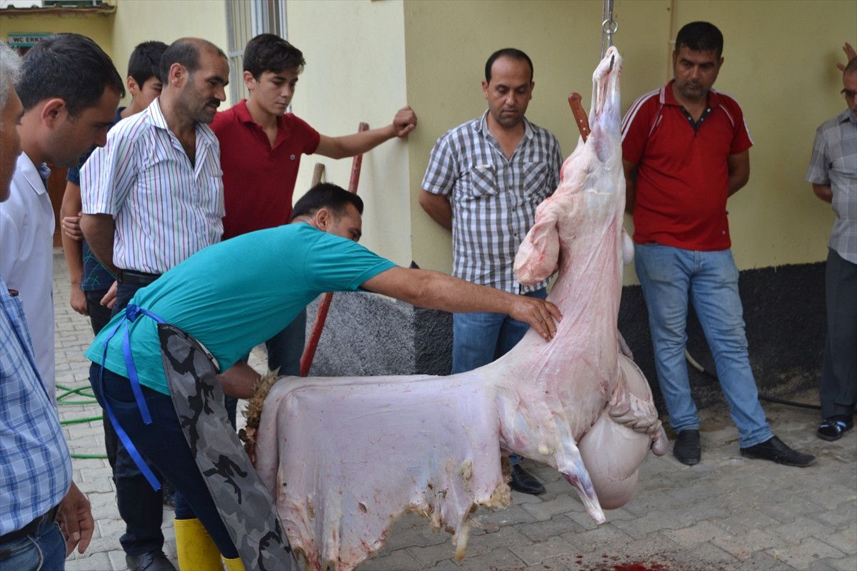 Kozan\'da Kurban Kesim Kursu