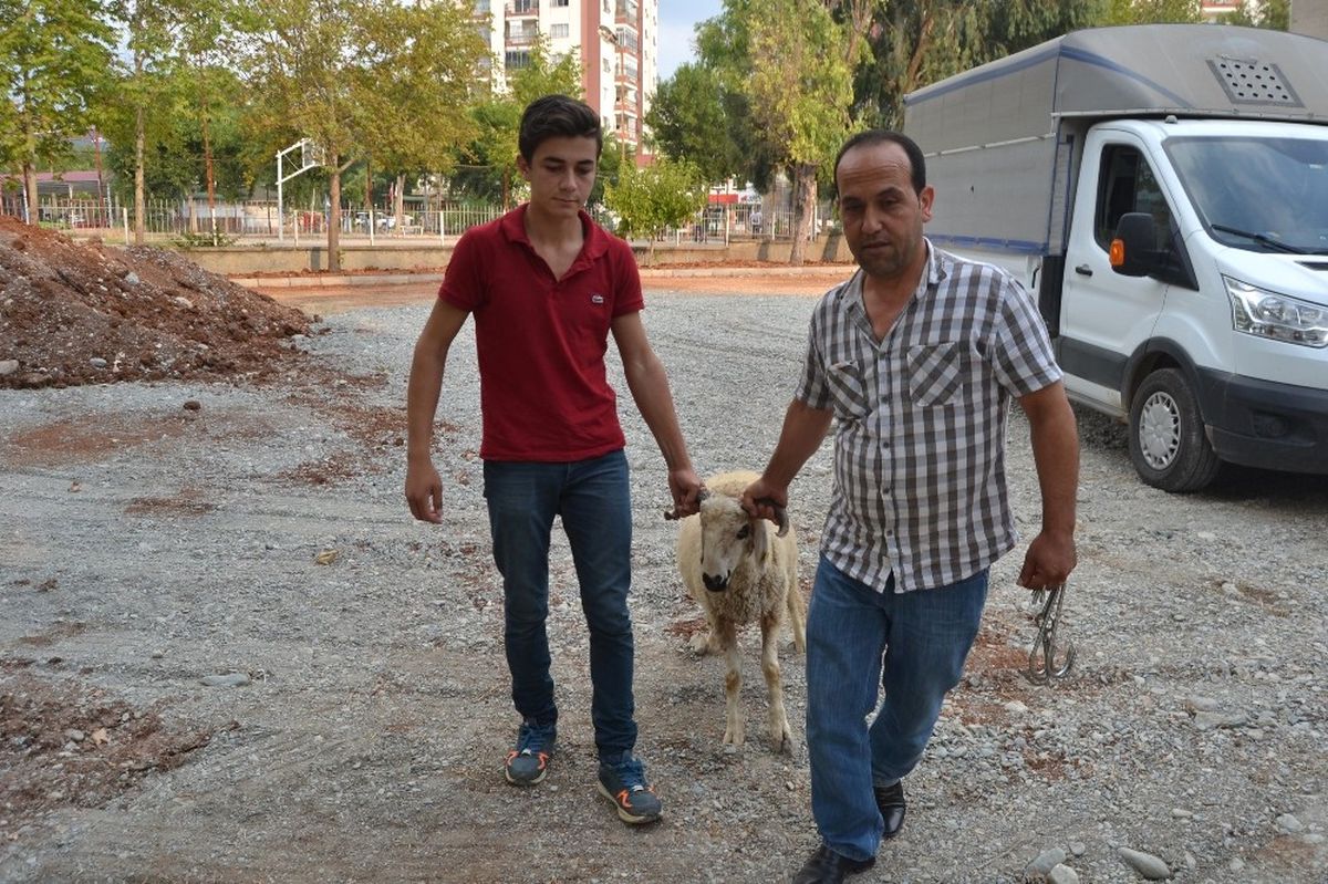 Kozan\'da Kurban Kesim Kursu Açıldı