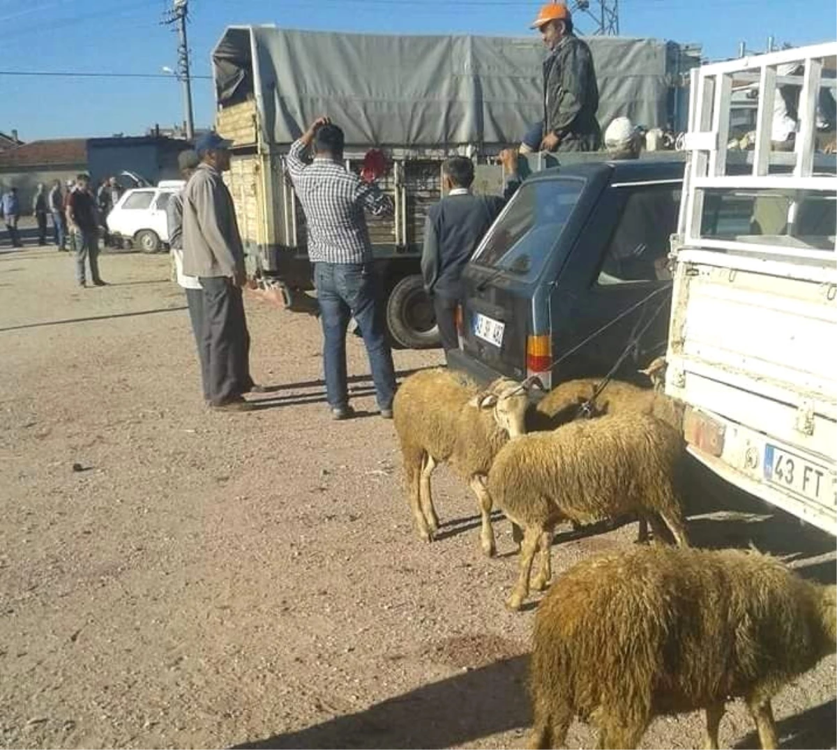 Kurban Pazarları Açıldı, Fiyatlar Arttı