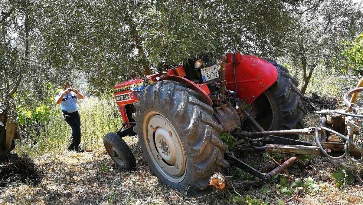 Traktör Sürücüsünü Zeytin Ağacı Kurtardı