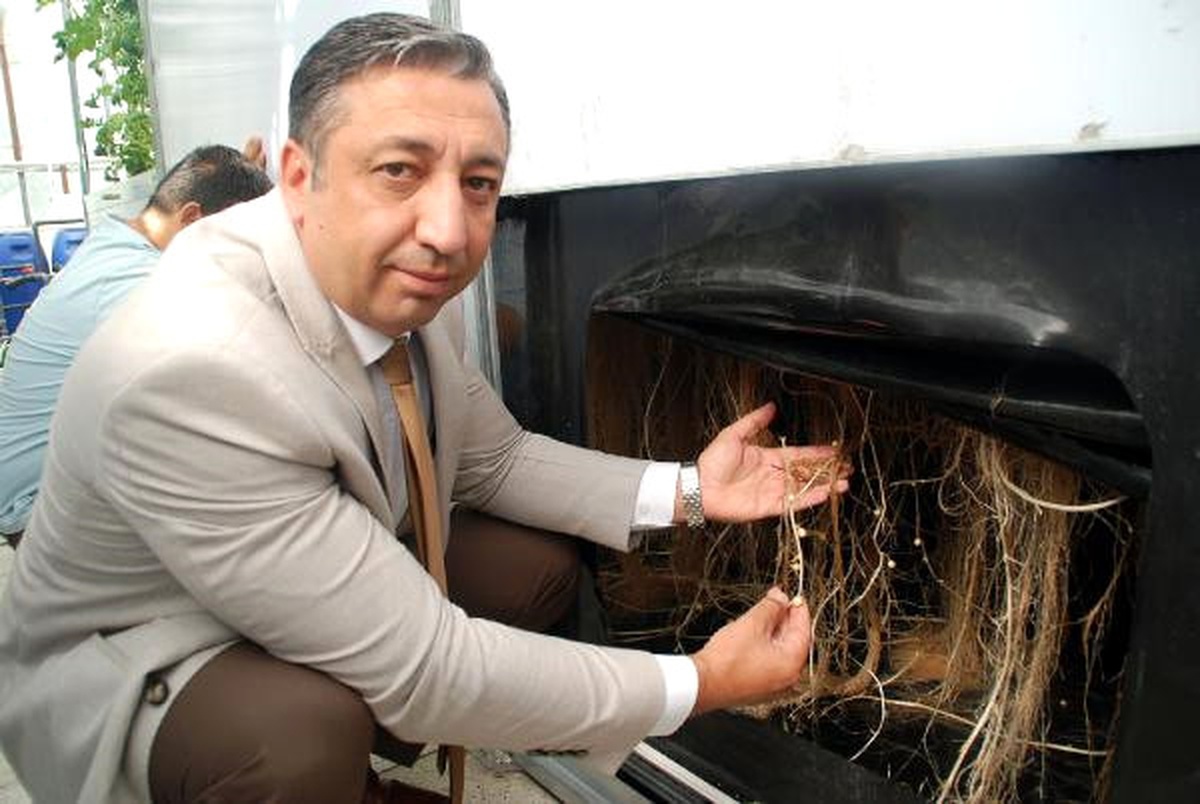 Türkiye\'de İlk Kez Topraksız Patates Tohumunu Ürettiler