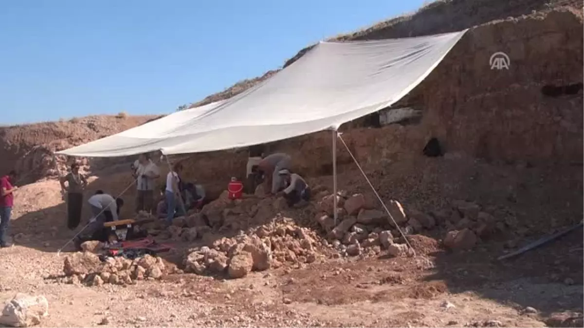 8 Milyon Yıllık Fosiller "Kazı Okulu"Na Ev Sahipliği Yapıyor