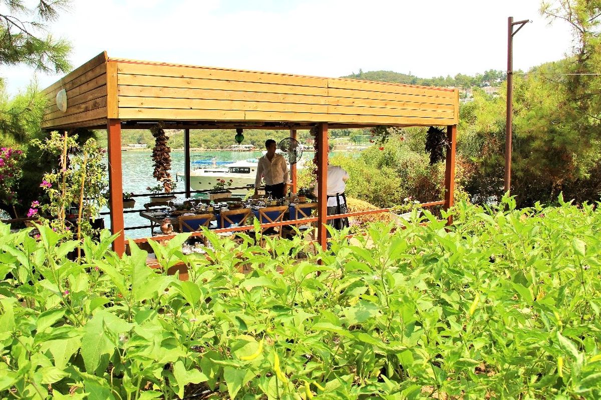 Lüks Turistik Tesiste Organik Tarım