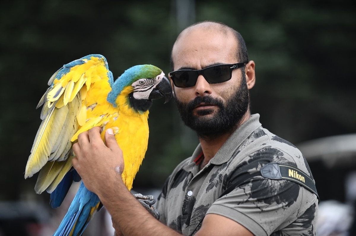 Papağanla Fotoğraf Çekilmek İçin Sıraya Girdiler