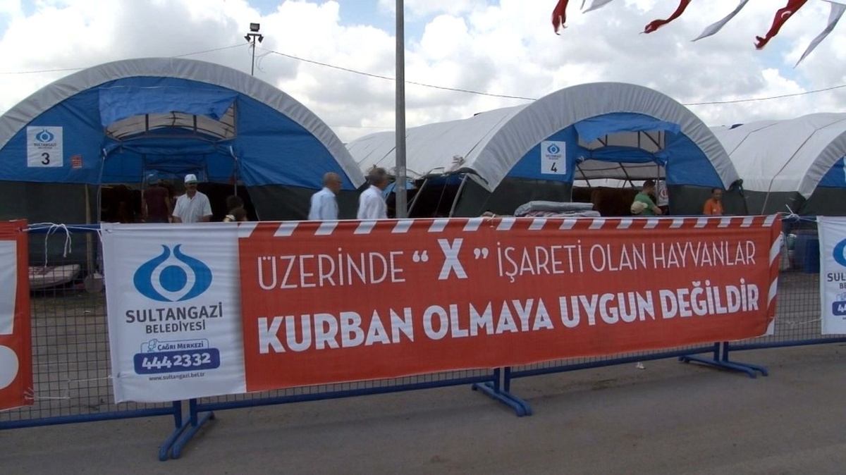 Sultangazi\'de Kurbanlıklar Alıcılarını Bekliyor