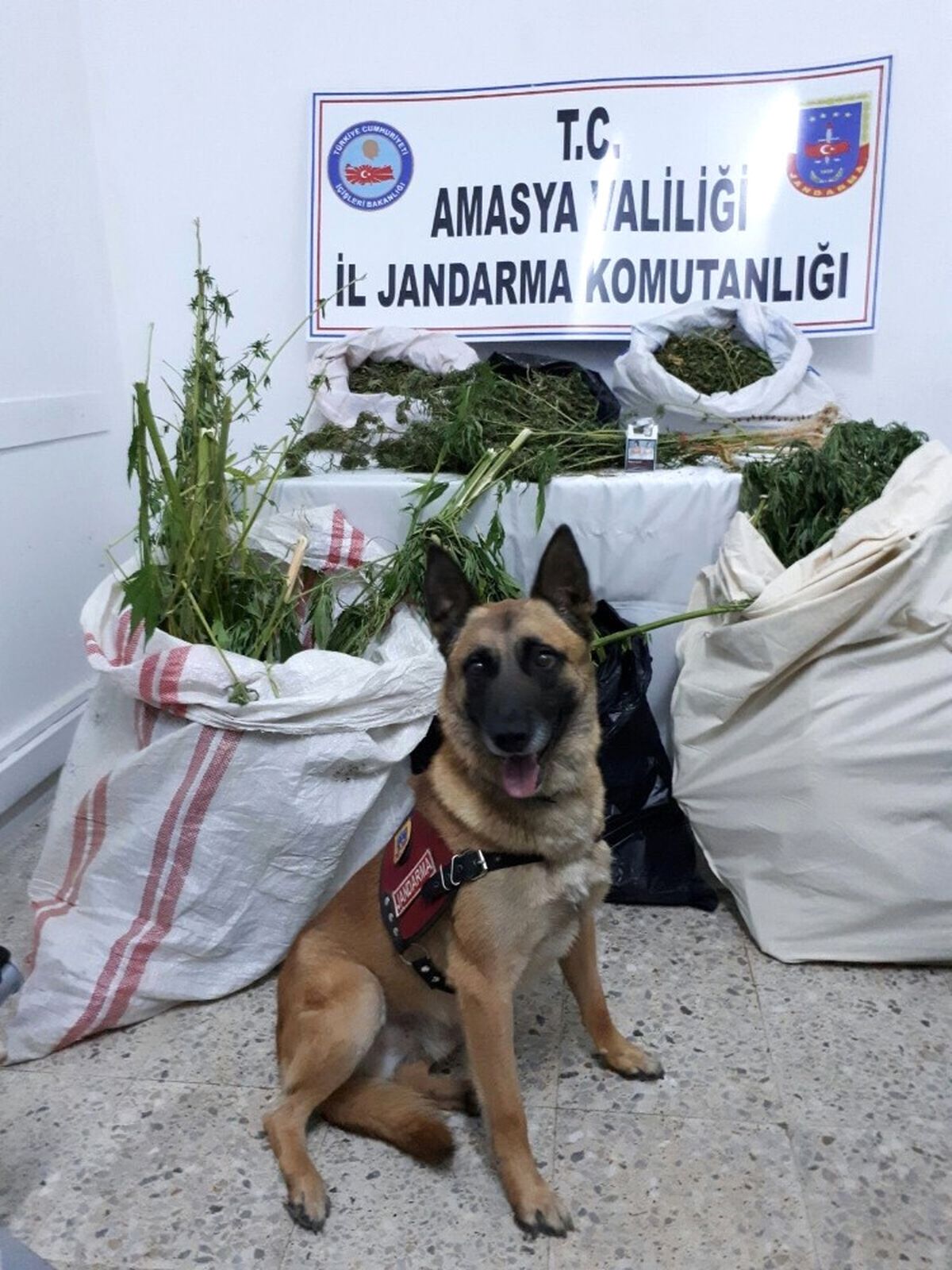 10,5 Kilo Esrarı \'Atak\' Buldu