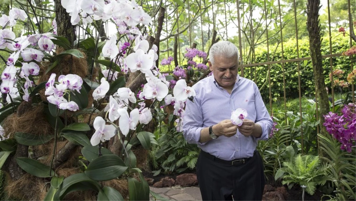 Başbakan Yıldırım\'a Singapur\'da Sürpriz: İsmi Orkideye Verildi
