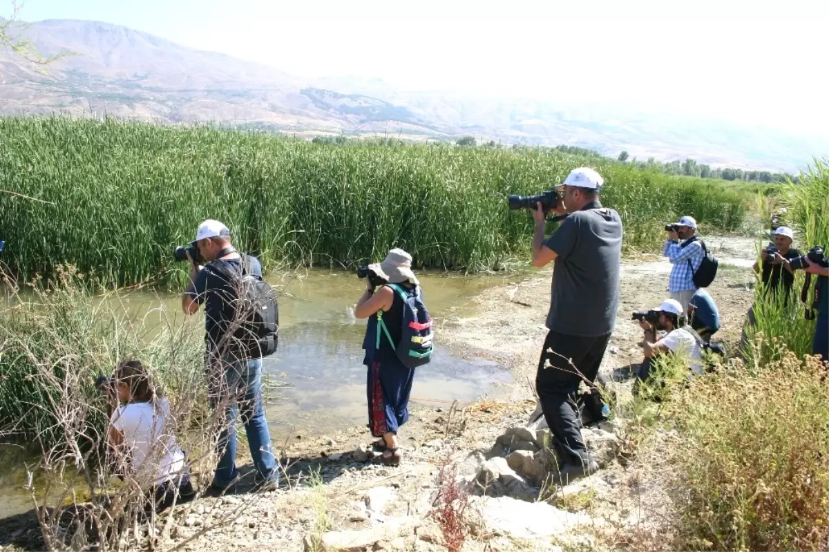 Elazığ\'da Fotosafari Etkinliği