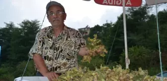 Fındık Üreticileri Yollarda Tezgah Açtı