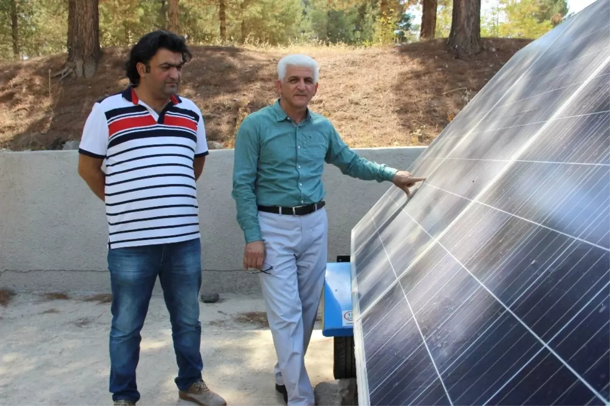 Hayvanlar, Artık Güneş Enerjisiyle Sağılacak