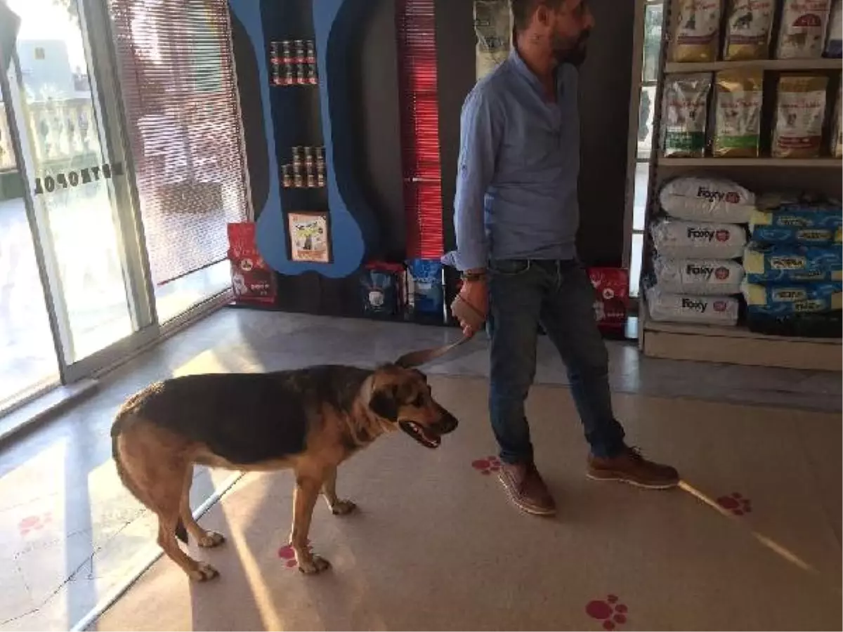 Köpeğe Cinsel İstismar Şüphelisinin Serbest Kalmasına Mahalleli Tepkili