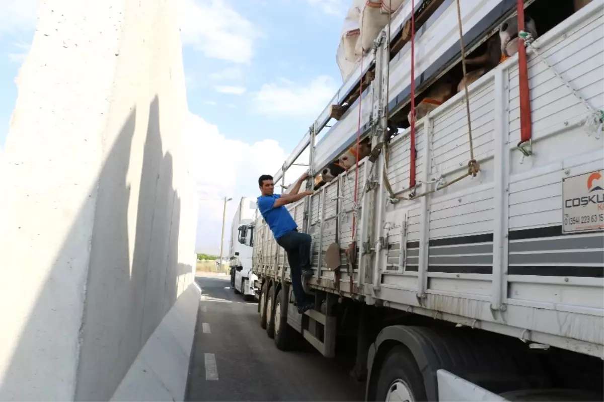 Kurban Bayramı Öncesi Kontroller Sıklaştırıldı