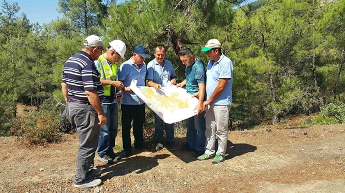 Ormanlarda Gençleştirme Çalışmaları Başladı