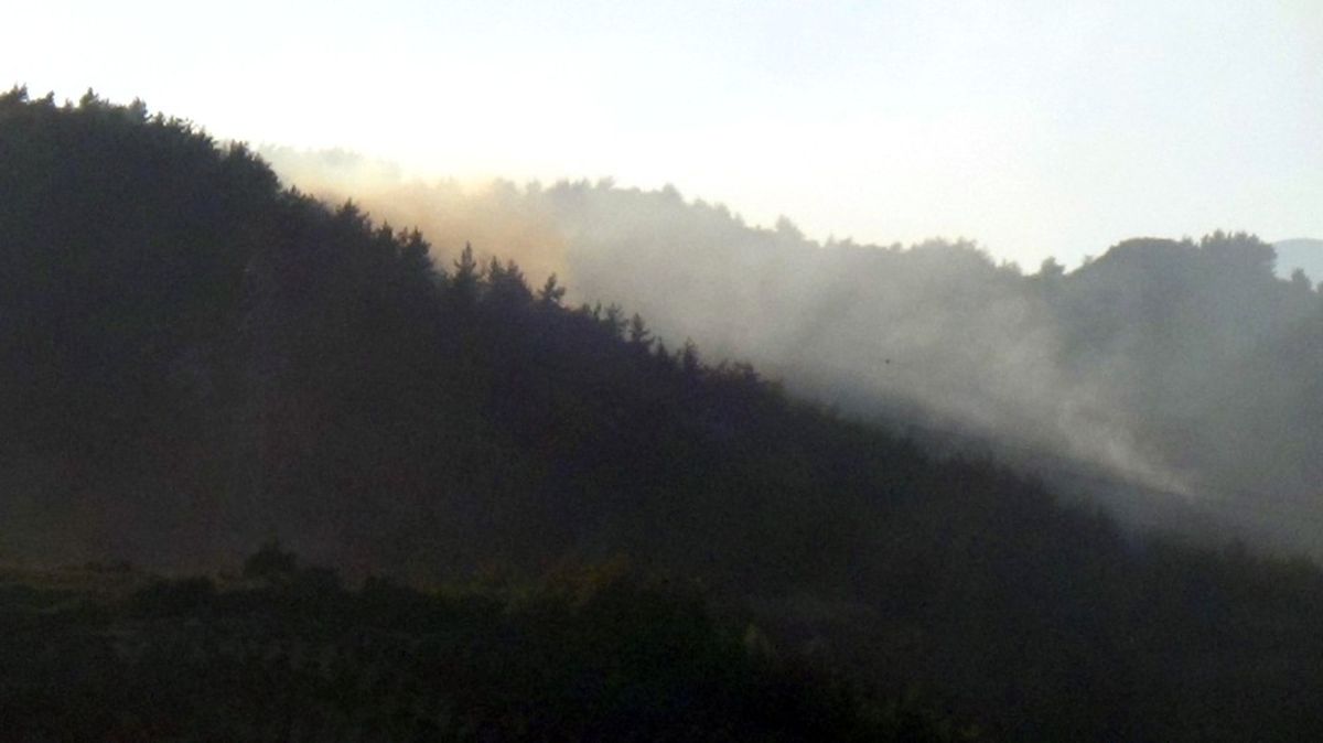 Piknik Ateşi Orman Yangınına Sebep Oldu