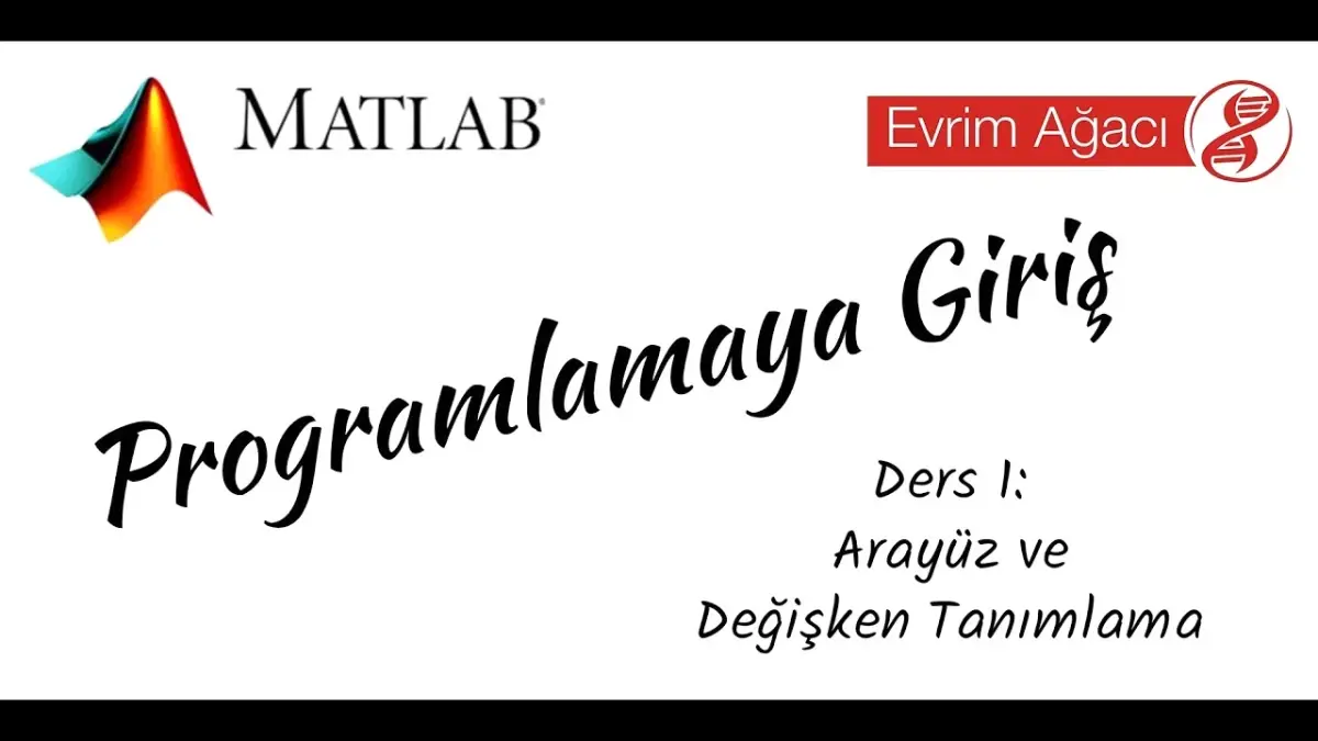 Programlamaya Giriş - Ders 1: Arayüz ve Değişken Tanımlama