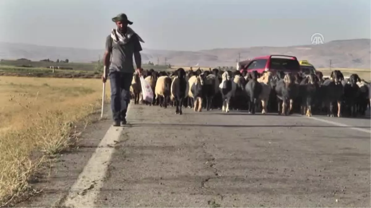 Yaylacılar Köylerine Dönmeye Başladı