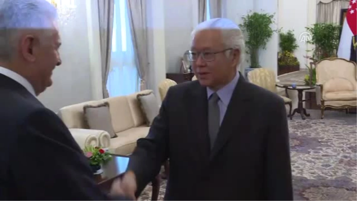 Yıldırım, Singapur Cumhurbaşkanı Yam ile Bir Araya Geldi - Singapur