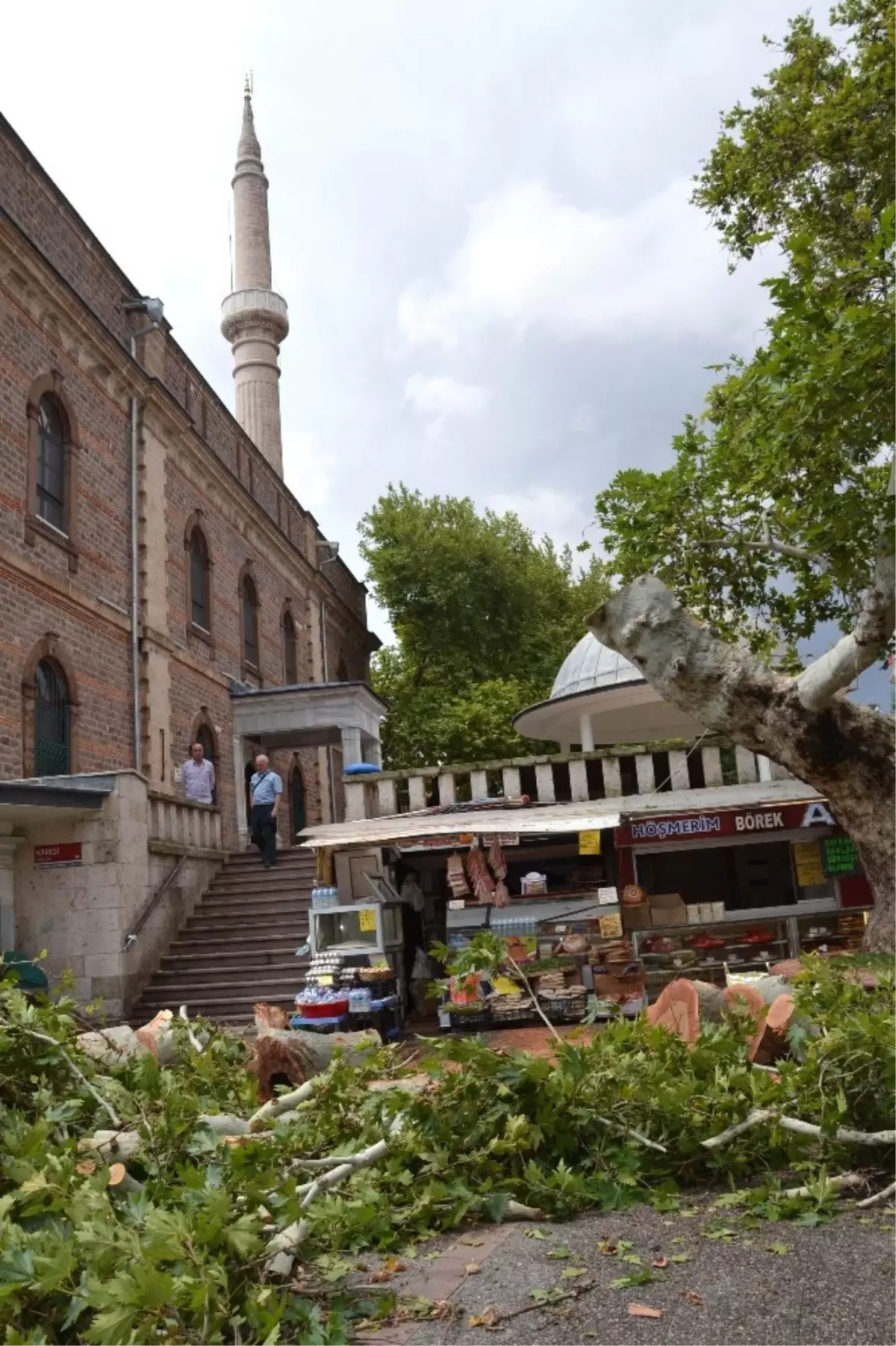 150 Yıllık Çınar Fırtınada Yıkıldı, İş Merkezinin 6. Katını Su Bastı