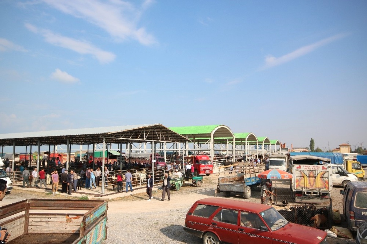 Beyşehir\'de Hayvan Pazarında Hazırlıklar Tamamlandı