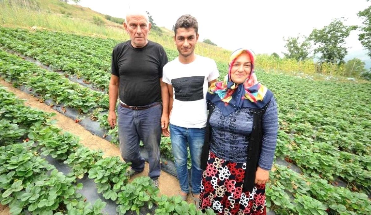 Destekle Çilek Serası Kurdu, Eşinden Fazla Kazanıyor