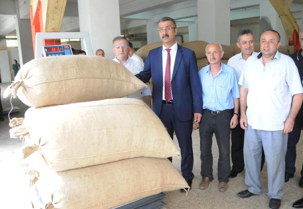 Fiskobirlik Tüm Fındığa Talip
