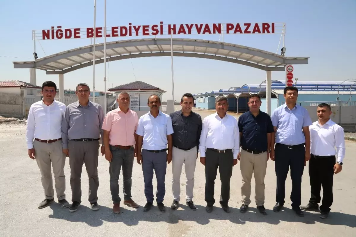 Niğde Belediyesi Kurban Bayramı\'na Hazır