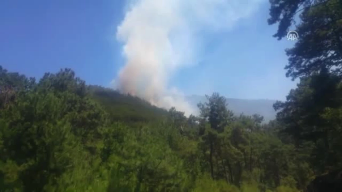 Erzincan\'da Orman Yangını