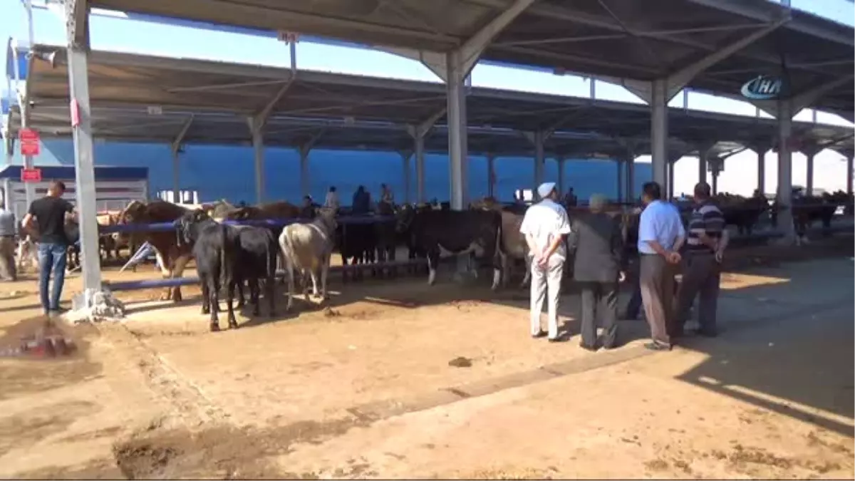 Kurban Pazarında Sahte Para Önlemi Alındı