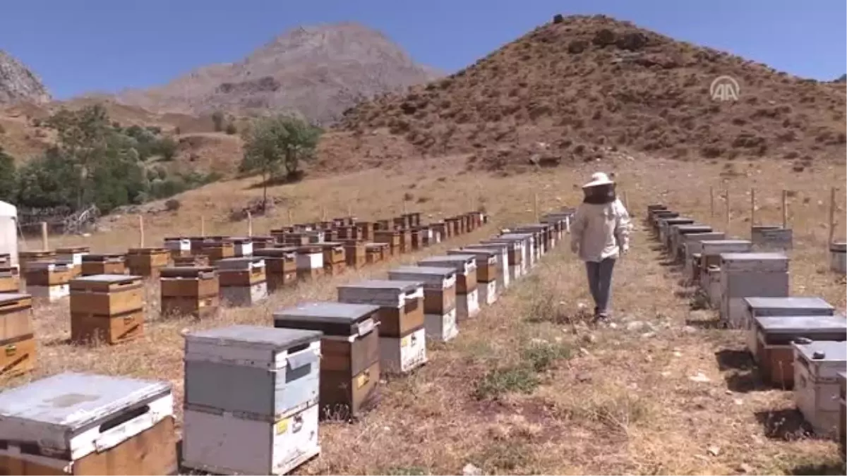 Organik Arıcılık Devlet Desteğiyle Artıyor - Tunceli