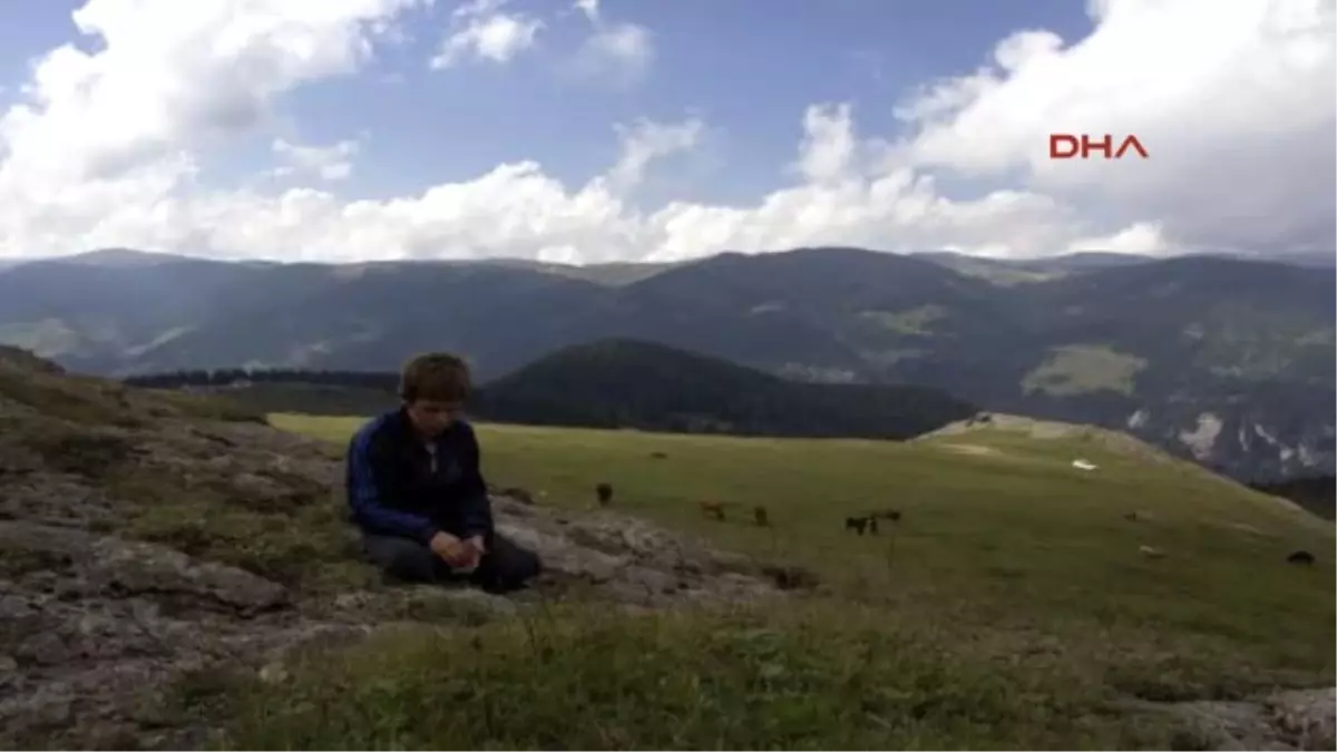 Trabzon Eren Bülbül\'ü Fotoğraflayan Öğretmen O Anları Anlattı