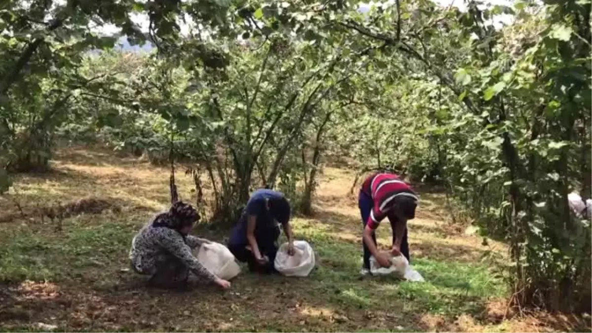 Tzob Yönetim Kurulu Üyesi Soydan