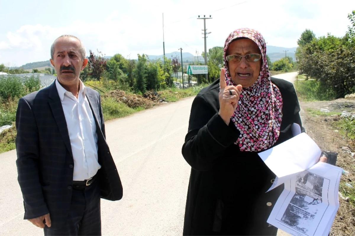 Acılı Anne ve Baba Açıklaması