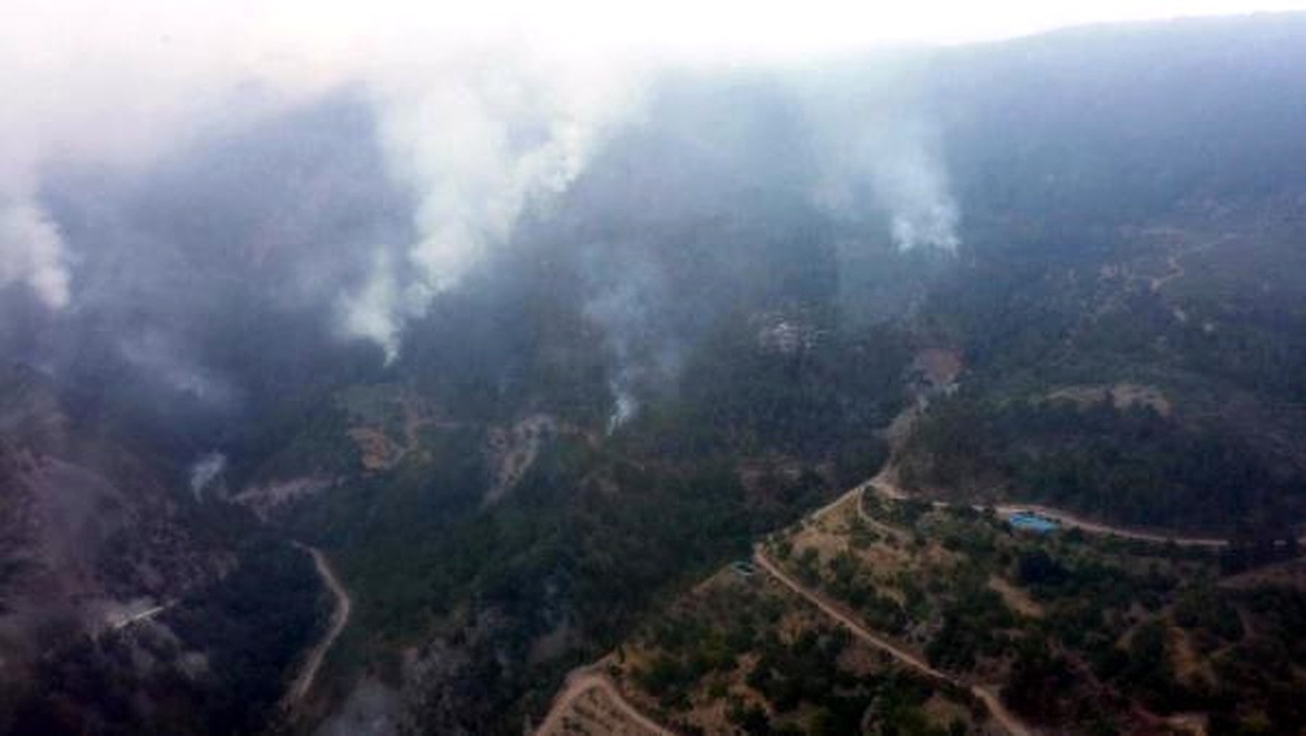 Amanoslar\'da PKK\'lı Teröristler 7 Hektar Makilik Alanı Yaktı