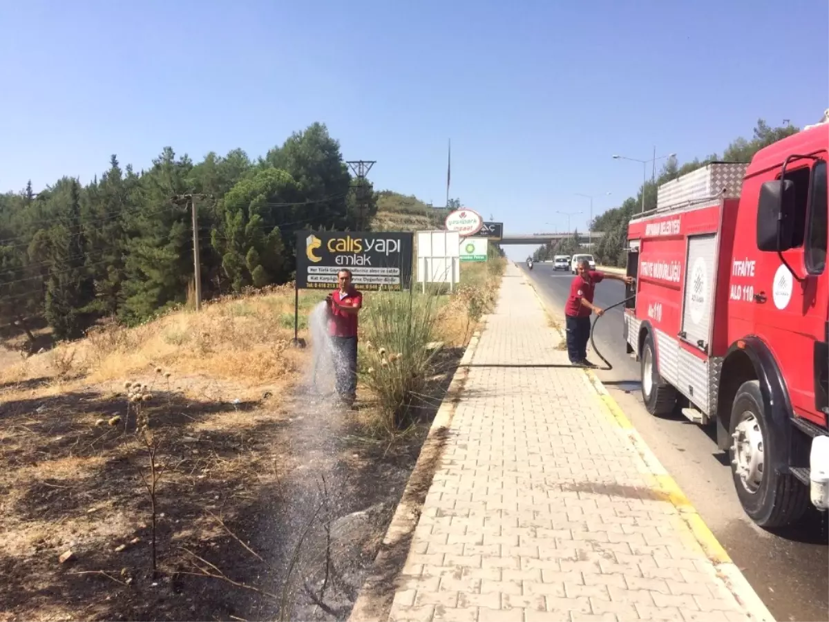 Anız Yangını Tütünlere ve Ağaçlara Zarar Verdi